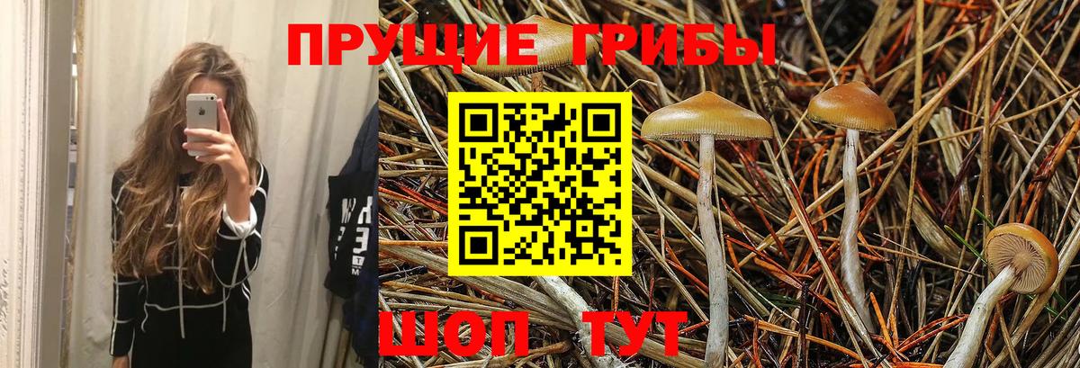 Галлюциногенные грибы GOLDEN TEACHER Кузнецк