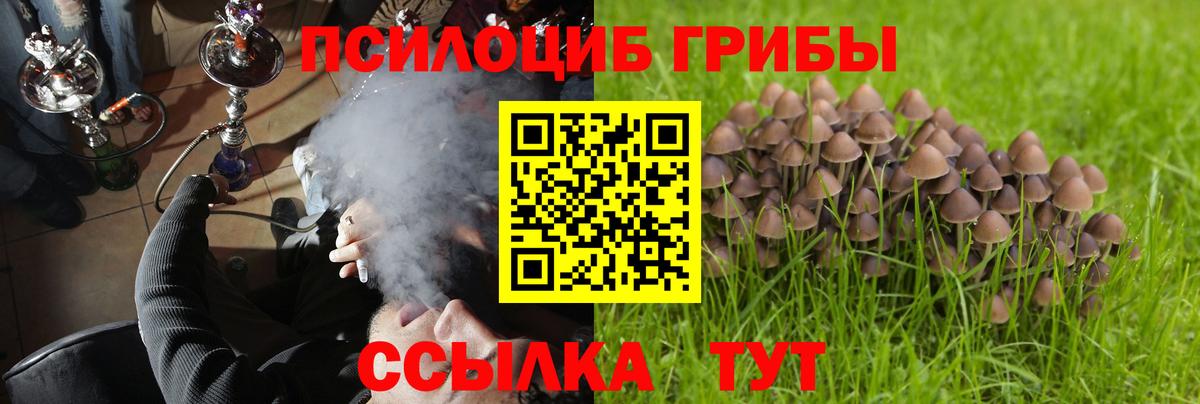 хочу наркоту  Вход с VPN  Галлюциногенные грибы мицелий  Кузнецк  Псилоцибиновые грибы MAGIC MUSHROOMS 